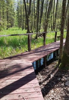 www.dwornaotulinie.pl-agroturystyka-Białowieża,-pensjonat-Białowieża,-noclegi-Białowieża,-Dwór-na-Otulinie-Białowieża,-noclegi-przy-Puszczy-Białowieskiej,-pensjonat---(2)