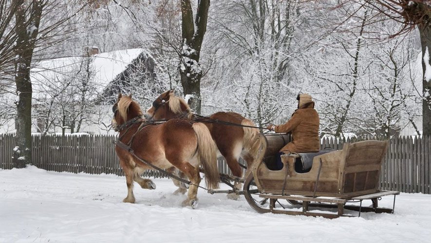 www.dwornaotulinie.pl-agroturystyka-Białowieża,-pensjonat-Białowieża,-noclegi-Białowieża,-Dwór-na-Otulinie-Białowieża,-noclegi-przy-Puszczy-Białowieskiej,-pensjonat---(3)